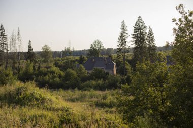 Orman ve ev. Kırsal bir ortamda manzara. Alan akşam ışığı tarafından aydınlatılır. Ladin ağaçları nadirdir. Bir yaz kulübesi.