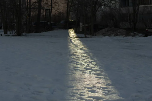 雪の中の光 庭の雪に覆われた表面に夕日が冬に輝いています 散乱光の例 — ストック写真