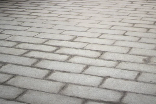 Tiles Road Texture Pavement Pedestrian Pavement — Stock Photo, Image