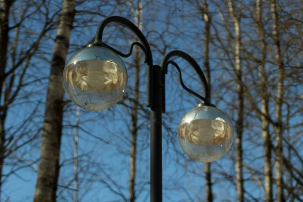 Street Lighting Day Lighting Park Stand Light Bulbs — Stock Photo, Image