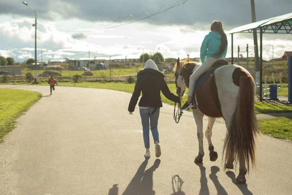 骑在马上的孩子 一个女孩和一匹马在公园里公园里的娱乐 儿童与动物的交流 — 图库照片