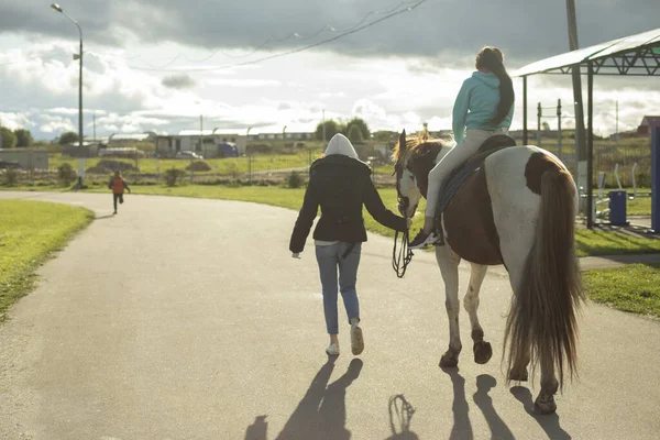 Montar Crianças Num Cavalo Uma Rapariga Parque Com Cavalo Diversão Imagem De Stock