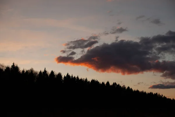 Paesaggio Serale Foresta Nube Crepuscolo Natura — Foto Stock