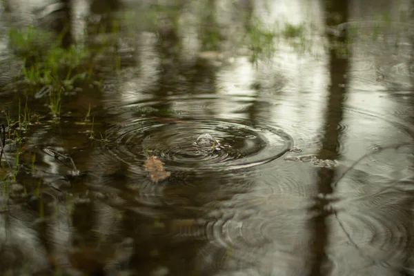 Kałuża Wiosną Koła Wodzie Powierzchnia Wody Deszczu Proste Tło Kroplami — Zdjęcie stockowe