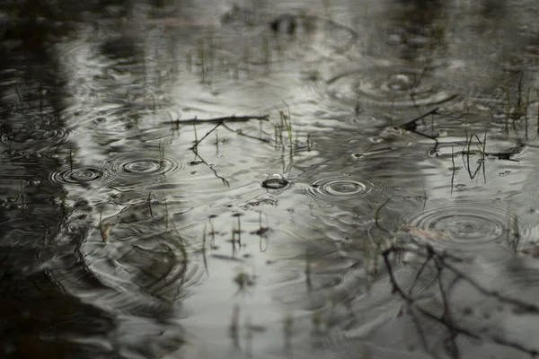 Pöla Våren Cirklar Vattnet Vattnets Yta Efter Regnet Enkel Bakgrund — Stockfoto
