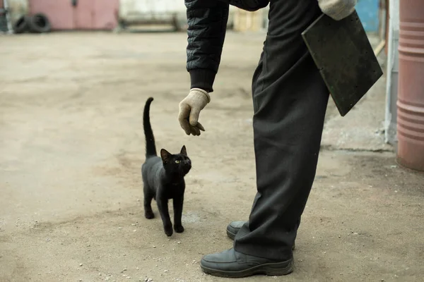 Gato Negro Cerca Los Pies Del Hombre Hombre Acaricia Gato —  Fotos de Stock