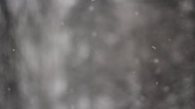 Dünya borusu. Sokakta kanalizasyon. Plastik boru duvardan sarkıyor. Su akışı için yer.