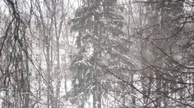 Pencerenin dışına kar yağıyor. Dışarıda karlı bir hava var. Yavaş kar sakince uçar. Kar yağışı dokusu.