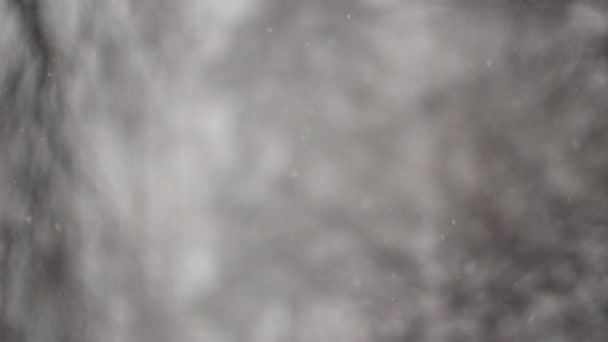 Nieve Cae Fuera Ventana Tiempo Nevado Afuera Nieve Lenta Vuela — Vídeos de Stock