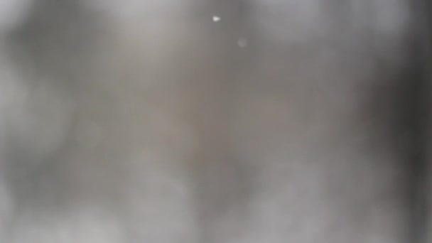 Pencerenin Dışına Kar Yağıyor Dışarıda Karlı Bir Hava Var Yavaş — Stok video