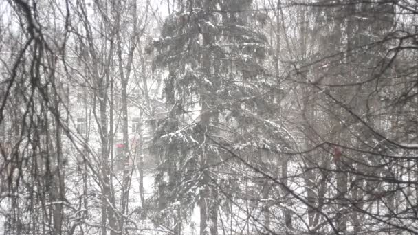 Neige Tombe Par Fenêtre Neige Dehors Neige Lente Vole Calmement — Video