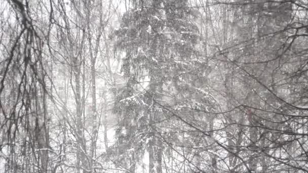 Neige Tombe Par Fenêtre Neige Dehors Neige Lente Vole Calmement — Video