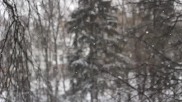 Nieve Cae Fuera Ventana Tiempo Nevado Afuera Nieve Lenta Vuela — Vídeos de Stock