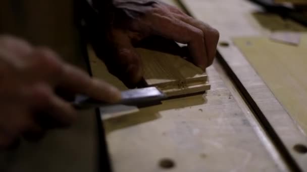 大工は板をきれいにする ハンドツール 切断角度 木材加工 鋭いナイフを手に — ストック動画