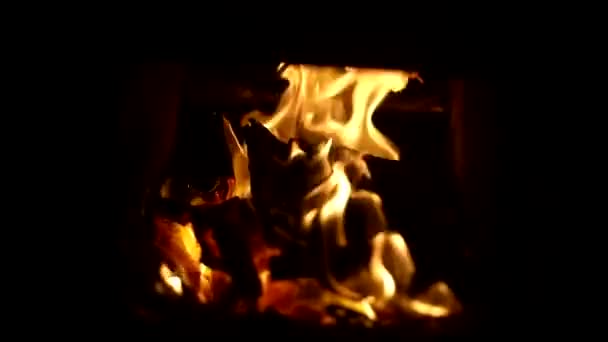 Flammes Sur Fond Noir Brûler Bois Feu Jaune Temps Réel — Video