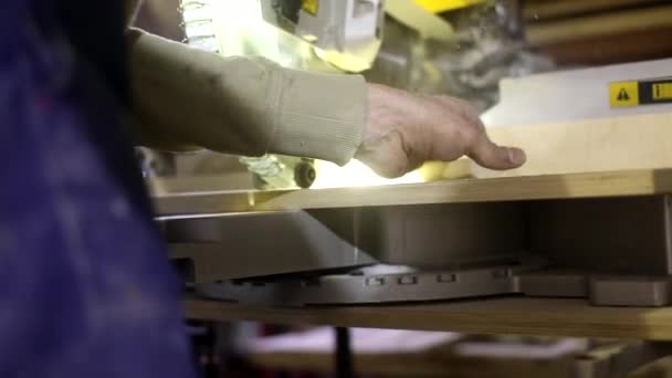 Arbeiten Mit Der Großen Säge Tischler Der Werkstatt Holzverarbeitung Vorbereitung — Stockvideo