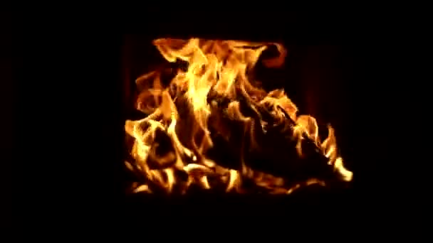 火の黄色の舌 暗闇の中で火災 暖炉で薪を燃やす — ストック動画