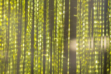 Altın rengi parıltılar. İç detaylar. Yeni süs kumaşı. Filmde ışık parlar.