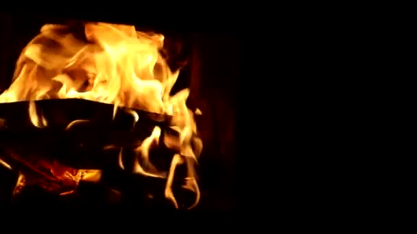 Fire Dark Burning Wood Background Flame Fireplace Night Yellow Tongues — Stock Video