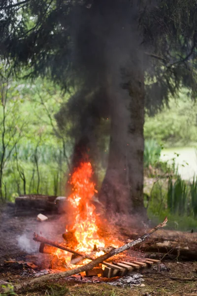 Feu Dans Forêt Grand Feu Joie Des Flammes Dangereuses Brûler — Photo