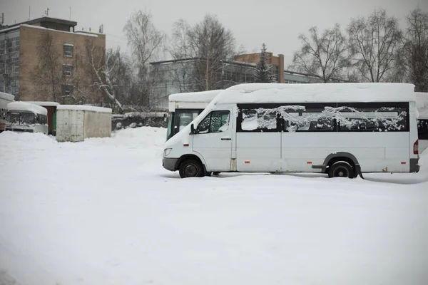 Автобусы Зимой Автовокзал Снегу Белые Машины Парковке Общественный Транспорт — стоковое фото