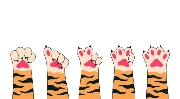 Cat paws banner. Cute simple tiger paws fingers showing numbers, hand drawn doodle cartoon tiger legs. Vector illustration — Stock Vector