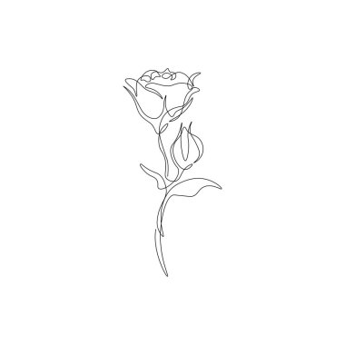 Posterler için aralıksız bir gül dizaynı. Doğrusal gül çizimi, minimal karalama dövmesi, baskı. Vektör illüstrasyonu.