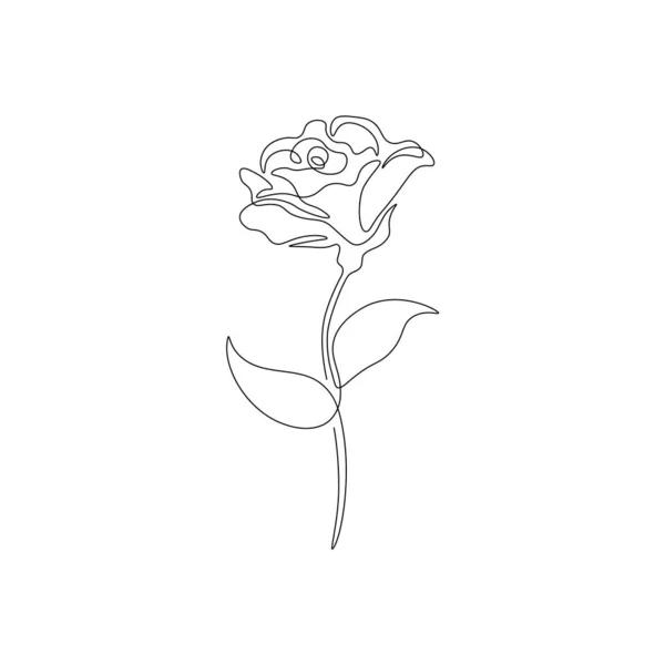 Continuelle Une Ligne Rose Fleur Design Floral Moderne Art Fleuri — Image vectorielle