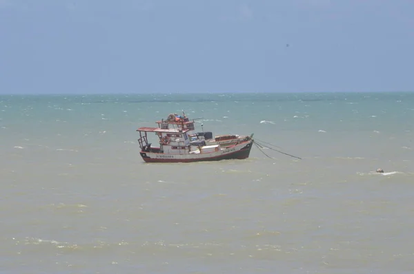 Int Uitzicht Het Strand Van Touros Rio Grande Norte Okt — Stockfoto