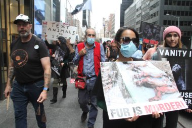 (New York 'ta Kürk karşıtı yürüyüş. 9 Ekim 2021, New York, ABD: İnsanlar Manhattan 'da Madison Bulvarı' ndaki moda evlerinin önünde Hayvan Zulmü 'nü protesto ediyor ve hayvan kürkü kullanımını durdurma çağrısı yapıyorlar. 