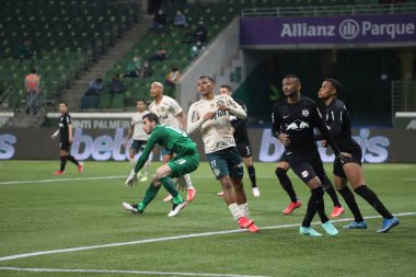 (Brezilya Futbol Şampiyonası: Palmeiras ve Red Bull Bragantino. 9 Ekim 2021, Sao Paulo, Brezilya: Brezilya Futbol Şampiyonası 'nın 25. turunda geçerli olan Red Bull Bragantino ile oynanan futbol maçı sırasında Palmeiras taraftarları