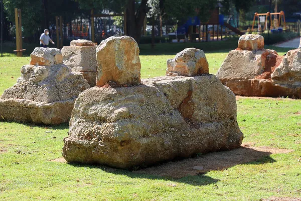 Augusta Stadspark Borgmästare Bruno Covas Sao Paulo November 2021 Sao — Stockfoto