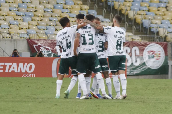 Brazil Labdarúgó Bajnokság Fluminense Palmeiras 2021 November Rio Janeiro Brazília — Stock Fotó