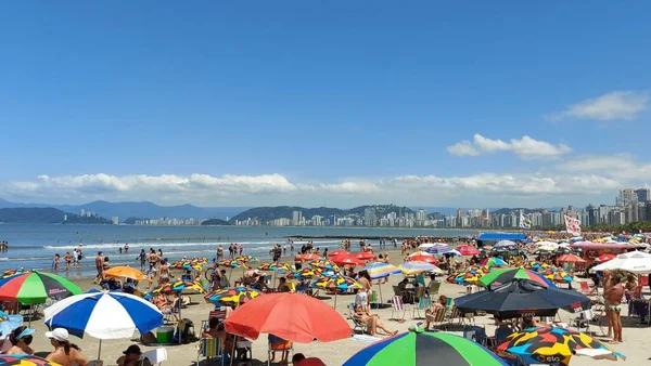 Bathers Enjoy Sunny Sunday Day Ponta Praia Santos November 2021 — Stock Photo, Image