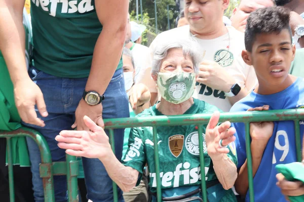 Novembre 2021 San Paolo Brasile Tifosi Del Palmeiras Riuniscono Sostenere — Foto Stock