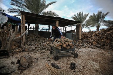 Filistinli işçiler Gazze 'de kışın odun satmak için odun kestiler. 3 Aralık 2021, Gazze, Filistin: Filistinli işçiler, Filistin 'deki Gazze Şeridi' nde talep çok yüksek olduğu Cuma günü, kış mevsiminde müşterilere odun satmak için odun kesiyorlar.)