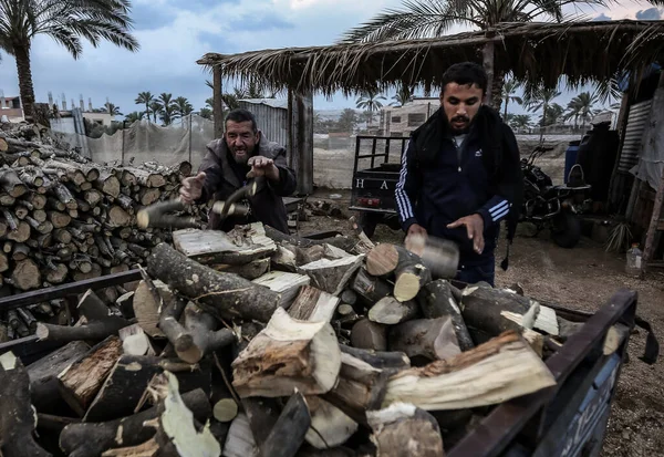 Filistinli Işçiler Gazze Kışın Odun Satmak Için Odun Kestiler Aralık — Stok fotoğraf