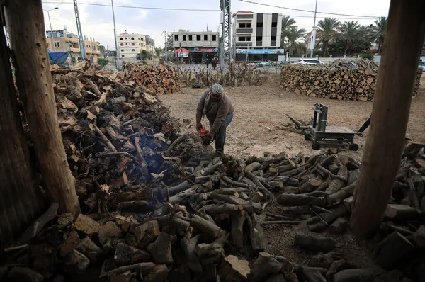 Filistinli Işçiler Gazze Kışın Odun Satmak Için Odun Kestiler Aralık — Stok fotoğraf