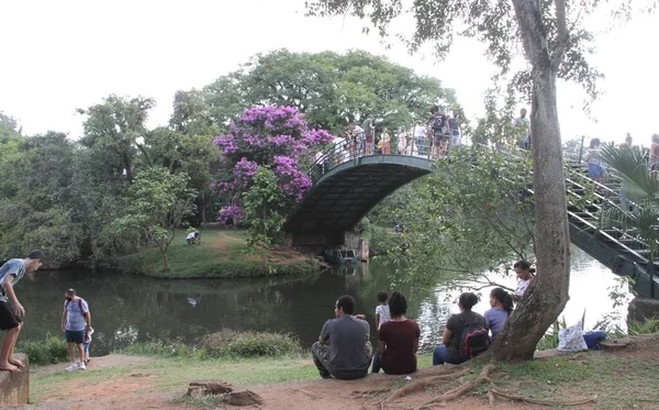 Crowded Ibirapuera Park Día Soleado Diciembre 2021 Sao Paulo Brasil — Foto de Stock