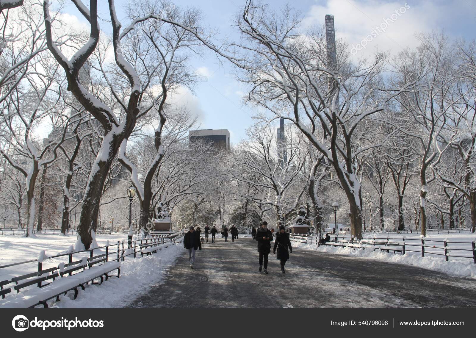 Snowfall Central Park January 2022 New York Usa First Awaited Stock