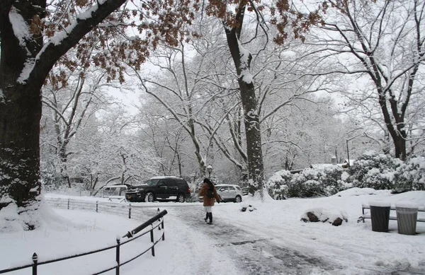 Snowfall Central Park January 2022 New York Usa First Awaited — Stock Photo, Image
