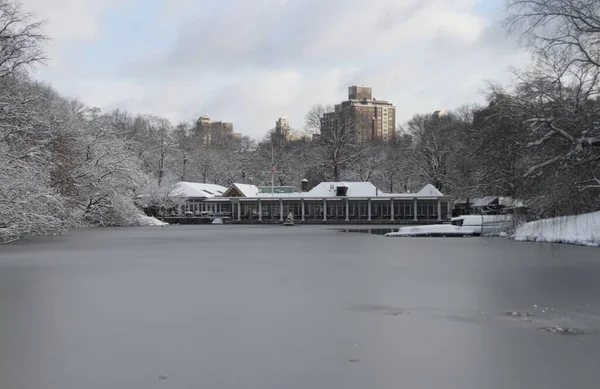 Snowfall Central Park January 2022 New York Usa First Awaited — Stock Photo, Image