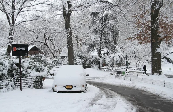 Snowfall Central Park January 2022 New York Usa First Awaited — Stock Photo, Image