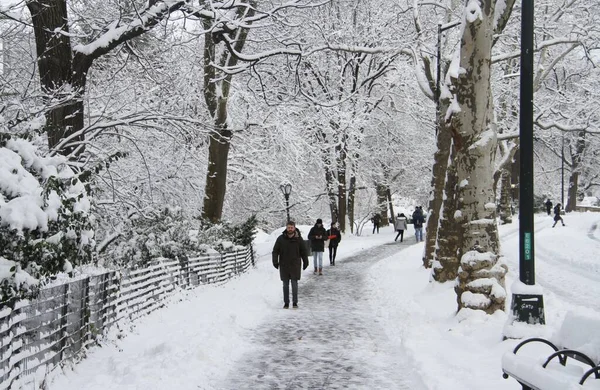 セントラルパークでの降雪 2022年1月7日アメリカ合衆国ニューヨーク州ニューヨーク市セントラルパークで2022年の初雪が予定されており ニューヨーク市では12時まで冬の天候に関する勧告が行われている — ストック写真