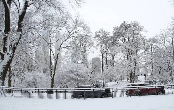 Snowfall Central Park January 2022 New York Usa First Awaited — Stock Photo, Image