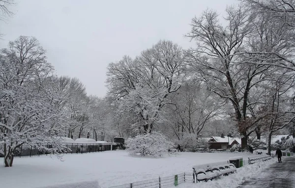 Sneeuwval Central Park Januari 2022 New York Usa Eerste Verwachte — Stockfoto