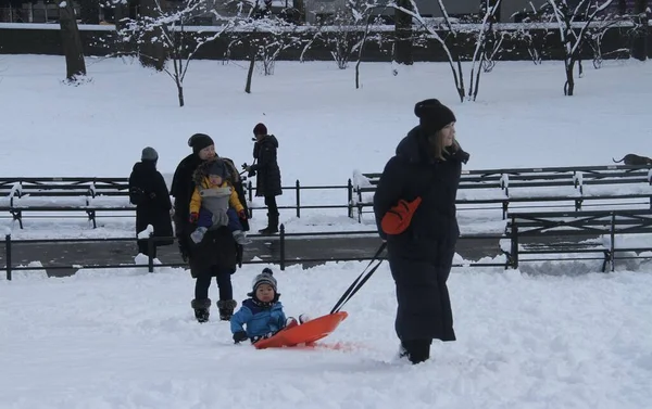 Snowfall Central Park January 2022 New York Usa First Awaited — стоковое фото