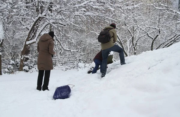 Snowfall Central Park January 2022 New York Usa First Awaited — стокове фото