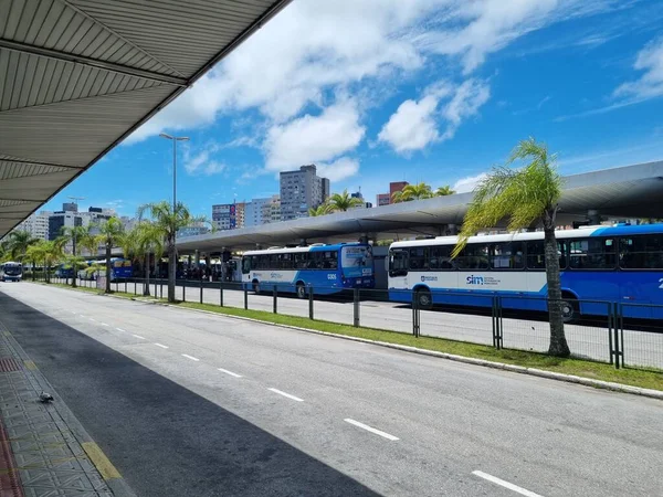 Terminal Ticen January 2022 Brazil Florianopolis Passenger Movement Ticen Bus — 图库照片