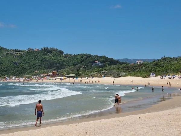 Verão Movimento Banhistas Mole Beach Florianópolis Janeiro 2022 Florianópolis Santa — Fotografia de Stock